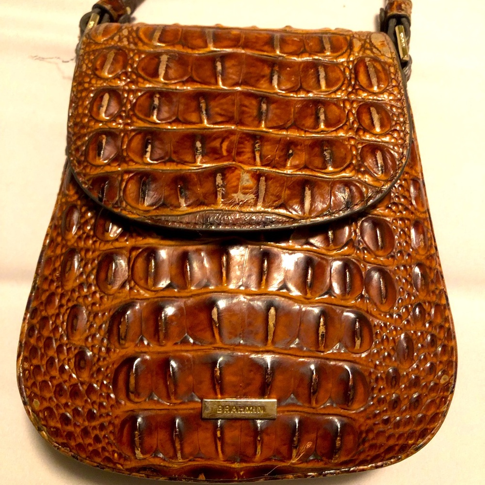 Brahmin Brown Purse!